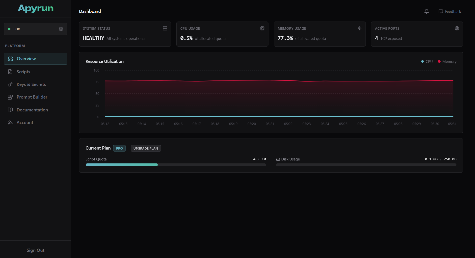 Apyrun dashboard showing deployed script